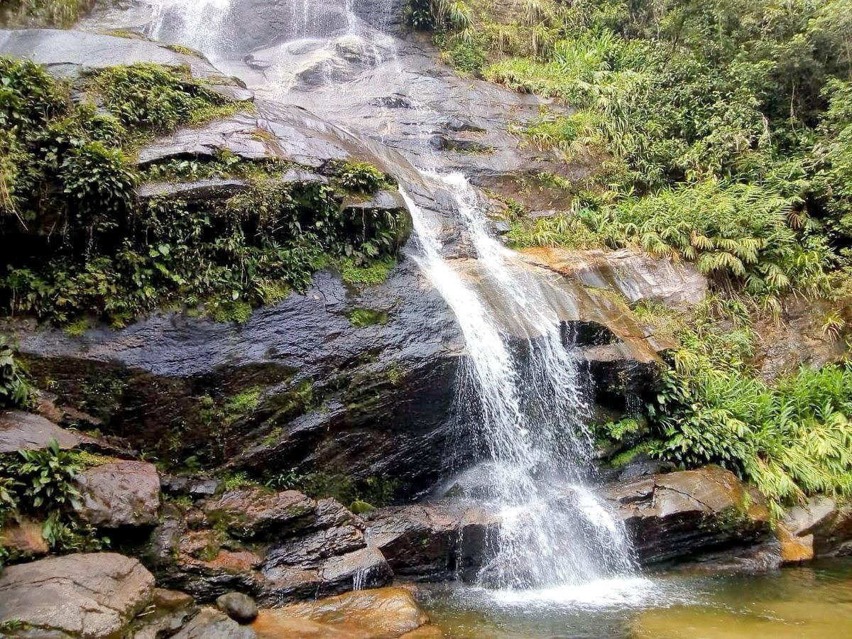 Tijuca Tour in Rio